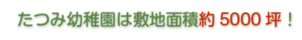 たつみ幼稚園は敷地面積約5000坪！