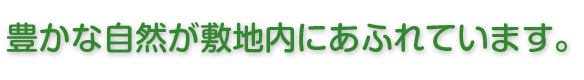 豊かな自然が敷地内にあふれています